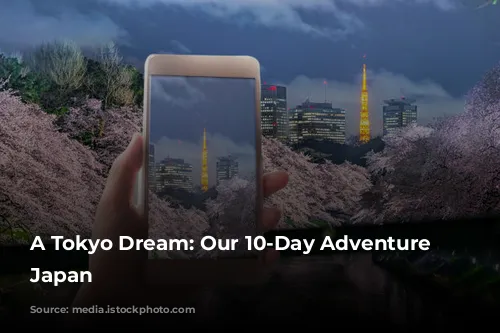 A Tokyo Dream: Our 10-Day Adventure in Japan