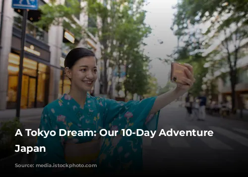 A Tokyo Dream: Our 10-Day Adventure in Japan