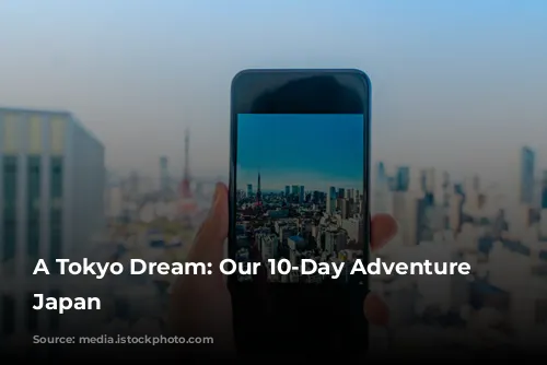 A Tokyo Dream: Our 10-Day Adventure in Japan