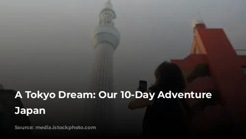 A Tokyo Dream: Our 10-Day Adventure in Japan