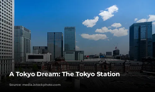 A Tokyo Dream: The Tokyo Station Hotel