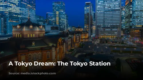 A Tokyo Dream: The Tokyo Station Hotel