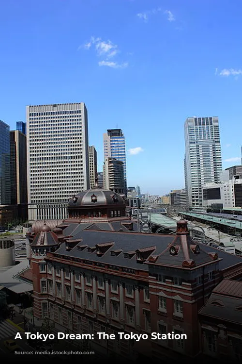 A Tokyo Dream: The Tokyo Station Hotel