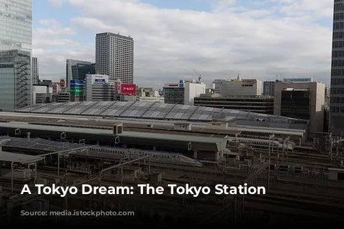 A Tokyo Dream: The Tokyo Station Hotel