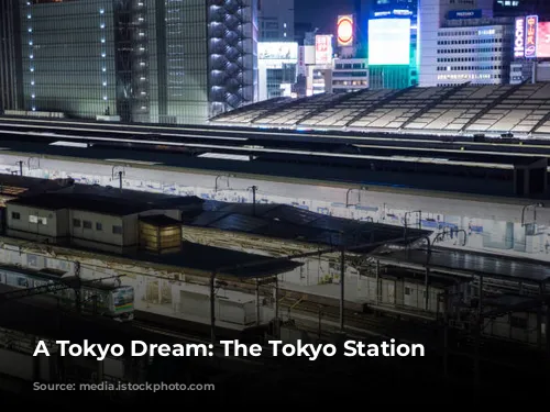 A Tokyo Dream: The Tokyo Station Hotel