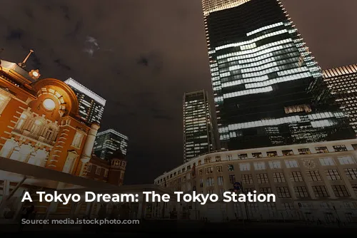 A Tokyo Dream: The Tokyo Station Hotel