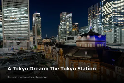 A Tokyo Dream: The Tokyo Station Hotel