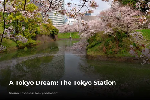 A Tokyo Dream: The Tokyo Station Hotel