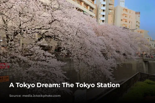 A Tokyo Dream: The Tokyo Station Hotel