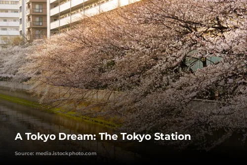 A Tokyo Dream: The Tokyo Station Hotel