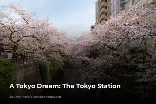 A Tokyo Dream: The Tokyo Station Hotel