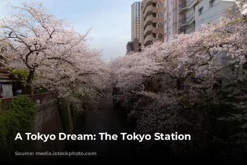 A Tokyo Dream: The Tokyo Station Hotel