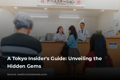 A Tokyo Insider's Guide: Unveiling the Capital's Hidden Gems