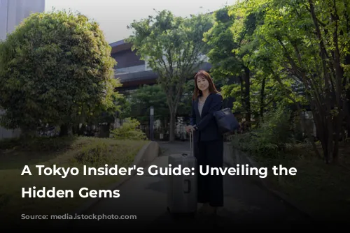 A Tokyo Insider's Guide: Unveiling the Capital's Hidden Gems