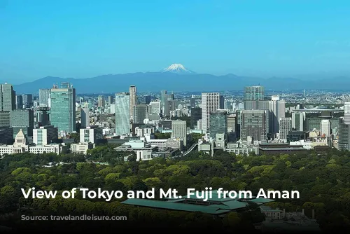 View of Tokyo and Mt. Fuji from Aman Tokyo