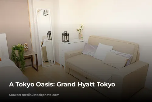 A Tokyo Oasis: Grand Hyatt Tokyo