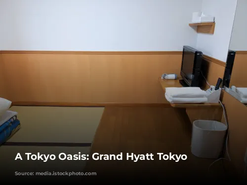 A Tokyo Oasis: Grand Hyatt Tokyo