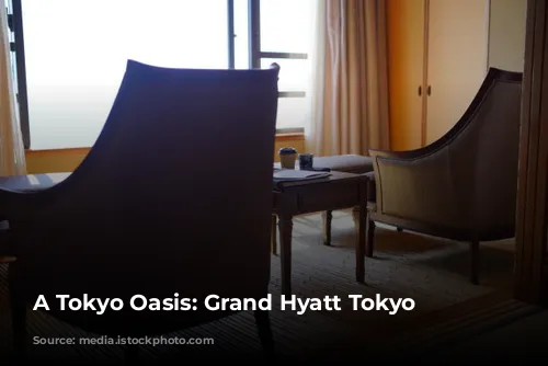 A Tokyo Oasis: Grand Hyatt Tokyo