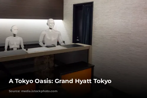 A Tokyo Oasis: Grand Hyatt Tokyo