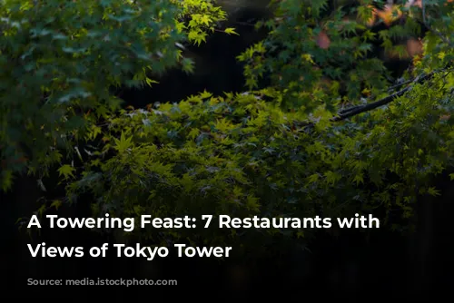 A Towering Feast: 7 Restaurants with Unforgettable Views of Tokyo Tower