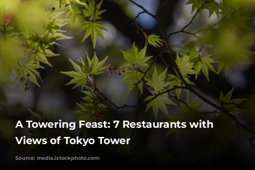 A Towering Feast: 7 Restaurants with Unforgettable Views of Tokyo Tower