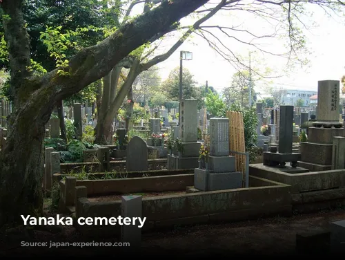 Yanaka cemetery