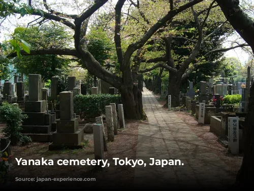 Yanaka cemetery, Tokyo, Japan.