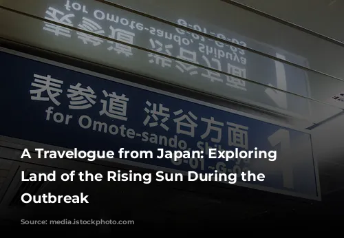 A Travelogue from Japan: Exploring the Land of the Rising Sun During the COVID-19 Outbreak