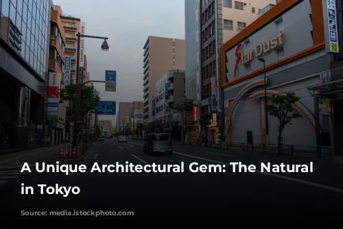 A Unique Architectural Gem: The Natural Ellipse in Tokyo