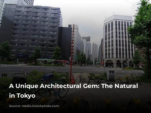 A Unique Architectural Gem: The Natural Ellipse in Tokyo