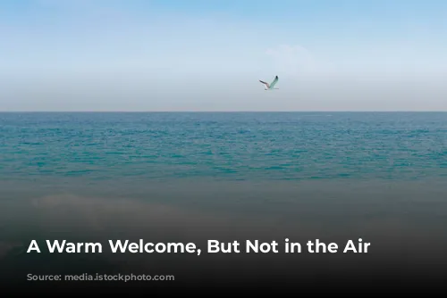 A Warm Welcome, But Not in the Air