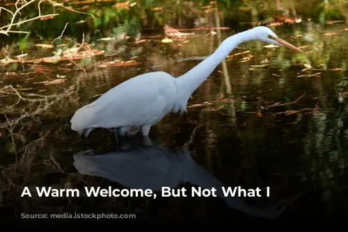 A Warm Welcome, But Not What I Expected