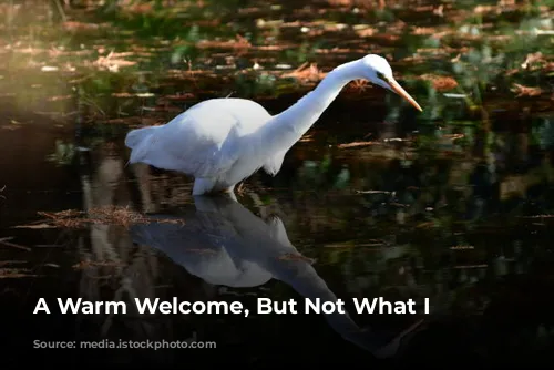 A Warm Welcome, But Not What I Expected