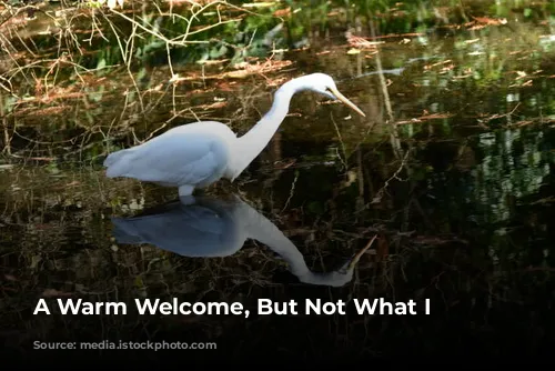 A Warm Welcome, But Not What I Expected