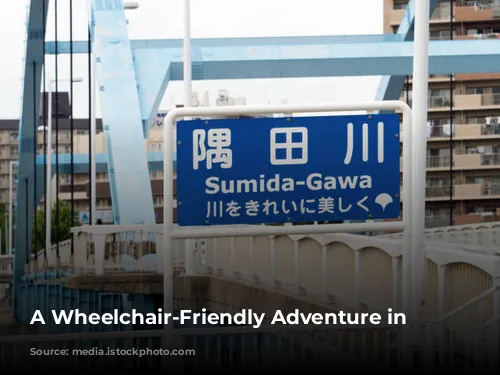 A  Wheelchair-Friendly Adventure in Japan