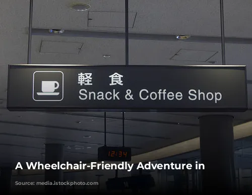 A  Wheelchair-Friendly Adventure in Japan