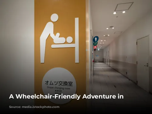 A  Wheelchair-Friendly Adventure in Japan