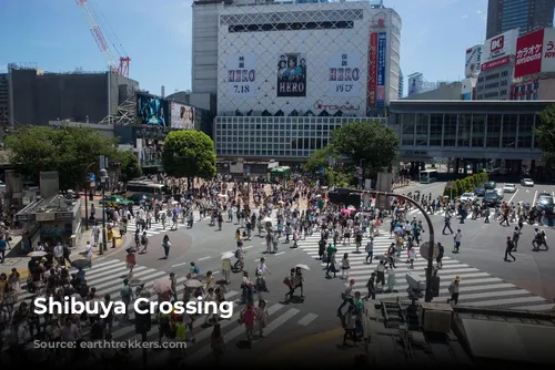 Shibuya Crossing