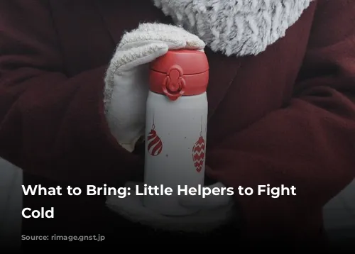 What to Bring: Little Helpers to Fight the Cold