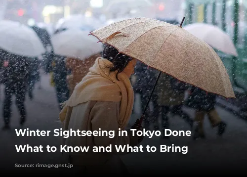 Winter Sightseeing in Tokyo Done Right: What to Know and What to Bring