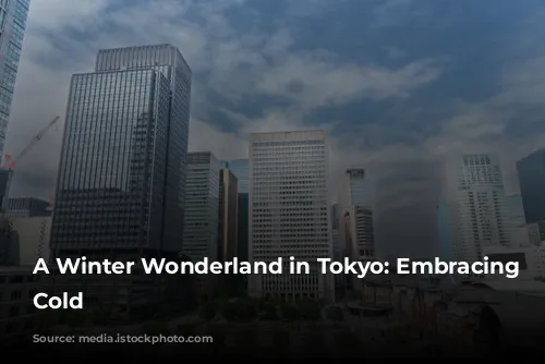 A Winter Wonderland in Tokyo: Embracing the Cold