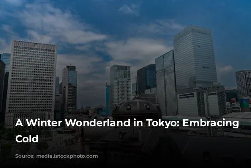 A Winter Wonderland in Tokyo: Embracing the Cold