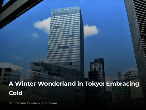 A Winter Wonderland in Tokyo: Embracing the Cold