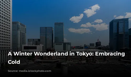 A Winter Wonderland in Tokyo: Embracing the Cold