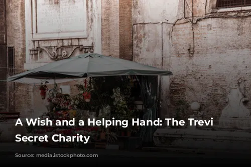 A Wish and a Helping Hand: The Trevi Fountain's Secret Charity