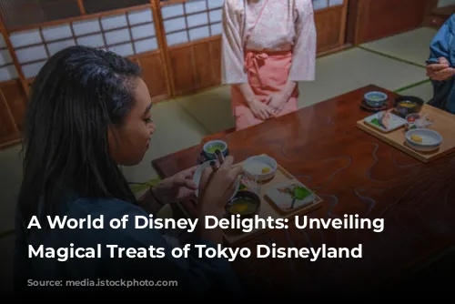 A World of Disney Delights: Unveiling the Magical Treats of Tokyo Disneyland