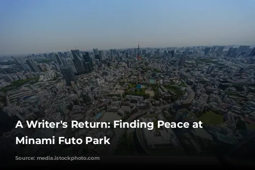 A Writer's Return: Finding Peace at Shibaura Minami Futo Park