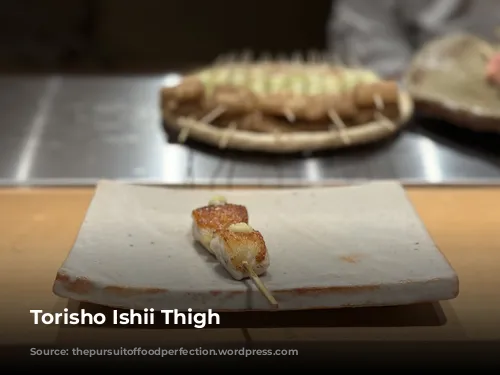 Torisho Ishii Thigh