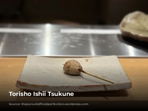 Torisho Ishii Tsukune