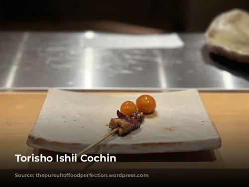 Torisho Ishii Cochin